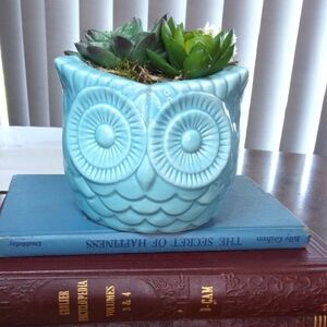 Ceramic Owl Planter in Blue